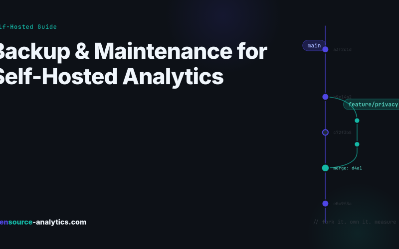 Backup, Updates & Maintenance for Self-Hosted Analytics